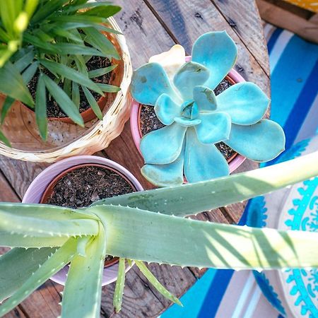 Apartmán The Kalifornia I Stilvoll Mit Urlaubsfeeling I Dachterrasse I Klima Karlsruhe Exteriér fotografie