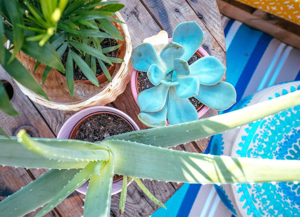 Apartmán The Kalifornia I Stilvoll Mit Urlaubsfeeling I Dachterrasse I Klima Karlsruhe Exteriér fotografie